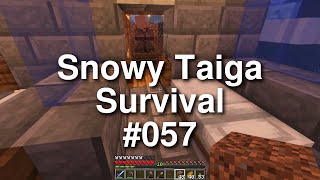 Minecraft Snowy Taiga Survival  057 [upl. by Siskind]