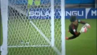 Guillermo OCHOA Best Saves Ever HD [upl. by Llemaj]