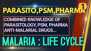 MALARIA ANTIMALARIAL DRUGS Plasmodium Life Cycle Malaria Lifecycle Plasmodium Life CycleHindi [upl. by Annissa704]