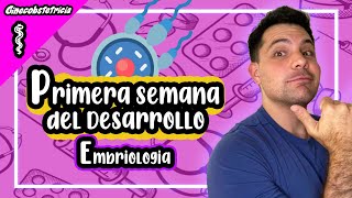 👨‍⚕️EMBRIOLOGIA  PRIMERA SEMANA DEL DESARROLLO [upl. by Wende761]