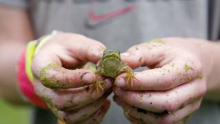 Wisconsin Life  Exploring nature and fun at Pringle Nature Center [upl. by Pachston]