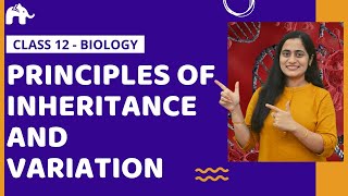 Principles of Inheritance and Variation Class 12 Biology Genetics One Shot NCERT CBSE NEET [upl. by Ovid]