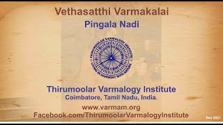 Vethasatthi Varmakalai Pingala Nadi [upl. by Renmus]