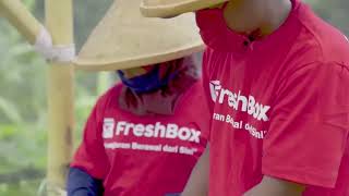 Freshbox [upl. by Romola]