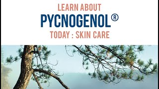 Pycnogenol® for Skin Care  Animated Infographic [upl. by Emylee]