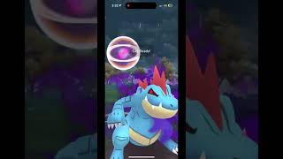 SHADOW PIDGEOT SHREDS THROUGH THE GREAT LEAGUE Pokémon Go PvPpokemonletsgo shorts shadowpokemon [upl. by Bullivant210]