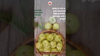 Benefits of Amla Gold Hair Oil for Hair Growth and Health IndiaAtHomeStore [upl. by Ormsby]