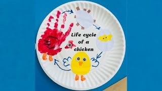 Life cycle of a chicken [upl. by Ronnica414]