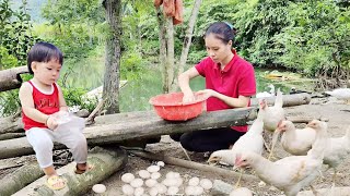 17 year old mute single mother Harvesting chicken eggs to sell for a living [upl. by Nnaeitak]