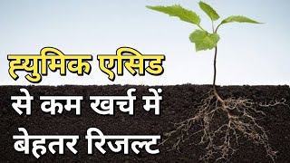 Humic Acid से भी कम खर्च💰में जडो का विकास कैसे करे [upl. by Lida]