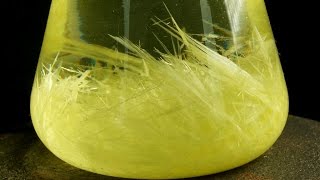 Growing Beautiful yellow Crystals of Sulfur Cool Chemical Experiment [upl. by Maurise523]