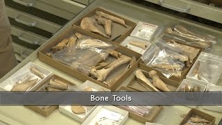 Bone Tools used by Virginias First People [upl. by Colyer]