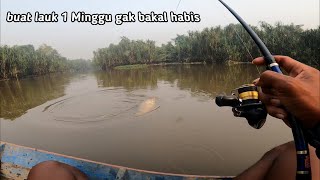 pantas saja ikan di sini besar besar jarang sekali di pancing 💯  hutan alami [upl. by Ylrebnik]