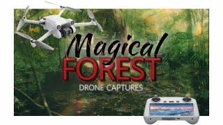 Enchanting Skipton Castle Woods A Magical Drone Adventure [upl. by Kelby]