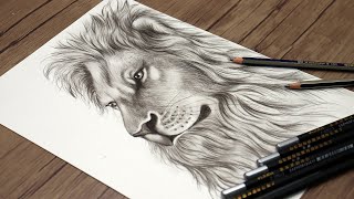 How to Draw a Realistic Lion Head Step by Step  Animals Drawing Tutorial [upl. by Eirot571]