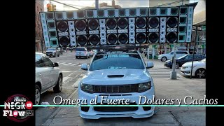 Omega El Fuerte  Dolares y Cachos Merengue En Vivo  Excelente Calidad  Tema Para musicologo [upl. by Lever]