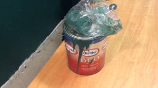 Review of Glidden Duo Satin Interior Semipremium Paint [upl. by Aroled155]