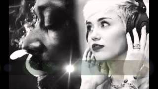 Snoop lion ft Miley Cyrus  Ashtrays amp Heartbreaks lyrics [upl. by Hajidak]