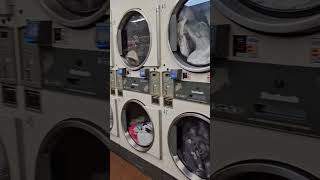 Laundromat washing cloths Laundromat laundry newyork cleaning [upl. by Ettenot672]