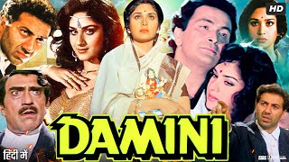 Damini 1993 Full Movie  Sunny Deol  Meenakshi Seshadri  Amrish Puri  Rishi Kapoor Review amp Fact [upl. by Imeaj]