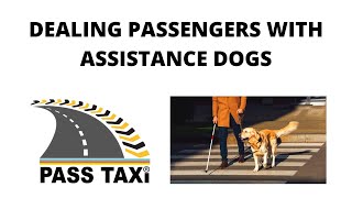 How to deal passengers with assistance dogs in Taxis  Video 12  PASS TAXI [upl. by Nealy]