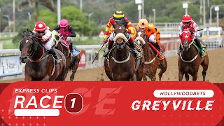 20221219 Hollywoodbets Greyville Express Clip Race 1 won by GIVERS GRACE [upl. by Swords868]