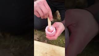 Survival Bushcraft Skills Soap Ki Sardi 🥶survival bushcraft camping outdoors skills shorts [upl. by Giovanna]