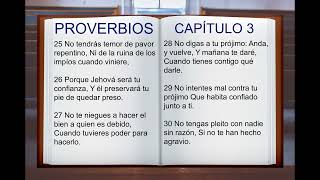 LA BIBLIA HABLADA quot PROVERBIOS 1 al 31 quot COMPLETO ANTIGUO TESTAMENTO [upl. by Khano]