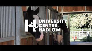 Higher Education at Hadlow College [upl. by Strang]