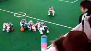 AIBO Soccer [upl. by Fessuoy]