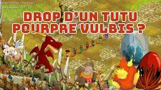 DROP DOFUS VULBIS TURQUOISE ET POURPRE  1 [upl. by Brandea213]