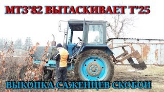 МТЗ 82 ВЫКОПКА САЖЕНЦЕВ✔МТЗ82 ВЫТАСКИВАЕТ Т25 с ПРИЦЕПОМ ГРУЖОНЫМ [upl. by Wehrle]