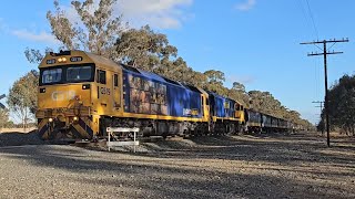 7733V PN empty grain G519 XR559 Geelong to Dimboola 1847 131124 Deep Lead Loop VIC [upl. by Thacker]