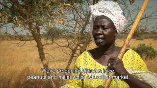 Turning the tide on desertification in Africa 7min43sec version [upl. by Devondra]