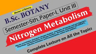 BSc Botany 5th Semester  Paper I Unit III Nitrogen Metabolism  Complete Lecture [upl. by Norre258]