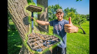 HOW TO HANG TREESTANDS Mobile Hunting Setup [upl. by Adivad121]