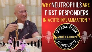 Neutrophils  Cells in Acute Inflammation  Audio Lecture [upl. by Nevar493]