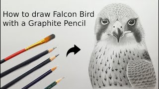 How to draw Realistic Falcon Bird with a Graphite Pencil  Realistic Pencil Art [upl. by Llennhoj]