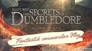 FANTASTİK CANAVARLAR 3 DUMBLEDOREUN SIRLARI  VLOG [upl. by Sivla709]