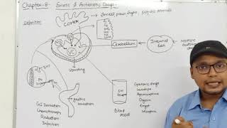 Emetics amp Antiemetics Drugs Physiology of Vomiting Classification  Ch8 Unit1 PharmacologyIII [upl. by Packton]