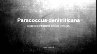 Medical vocabulary What does Paracoccus denitrificans mean [upl. by Stephana]