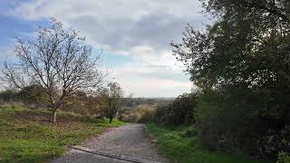 Wienerberg Spaziergang im Herbst [upl. by Namref]