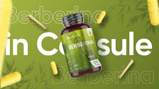 Berberina Hcl 500 mg per dimagrire  120 Capsule  Controllo colesterolo [upl. by Ylrevaw]