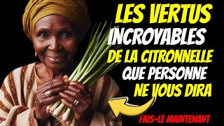 LES INCROYABLES VERTUS DE LA CITRONNELLE ❗ [upl. by Notffilc538]