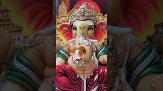 Sukhani Colony Raja god ganesh ganapati lordganesha youtubeshorts ytshorts shorts [upl. by Ayyidas]