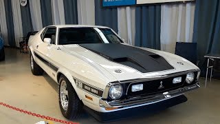 19711973 Mustang Mach 1 amp Boss Mustang and A Rare Shelby Europa At the 2021 Ford Nationals [upl. by Burrell587]