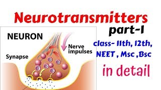 Neurotransmitters part 1Introduction and definition for 11th 12th NEET bsc msc [upl. by Frederic]