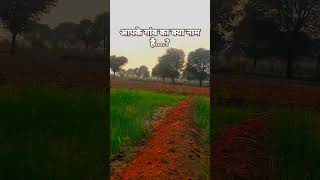 Farming 🌱🤟trendingshorts viralshort village farming trend [upl. by Ennaxor]