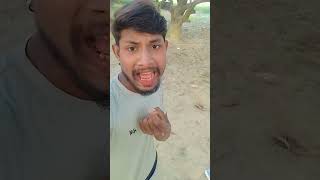 Chelele Mohabbat Ke Dil se bhojpuri dj music ♥️♥️💔😅😅 [upl. by Lebatsirhc134]