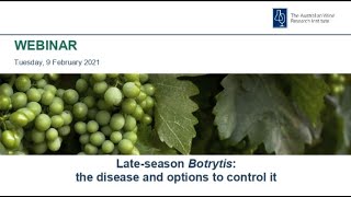 Late season Botrytis the disease and options to control it [upl. by Nehttam]